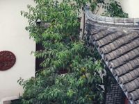罗溪书院茶艺馆