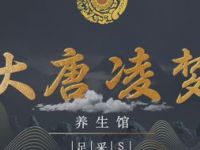 大唐凌梦·SPA足道采耳（诺亚新天地店）